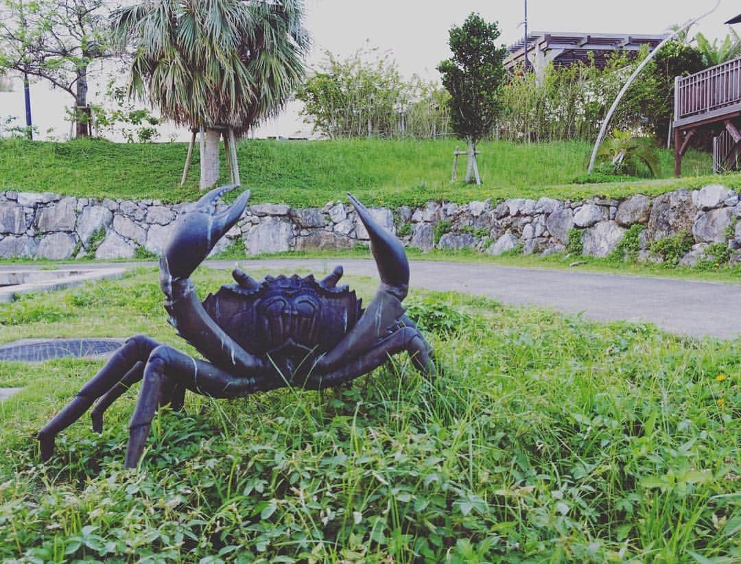 泉里香さんのインスタグラム写真 - (泉里香Instagram)「🦀🦀🦀🦀🦀 めんそ〜れ🍥 #カニの存在感 #撮ってって言ってきた #ピースじょうず✌️」10月24日 17時36分 - rika_izumi_