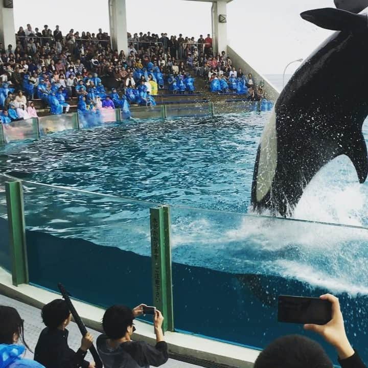 平井俊輔のインスタグラム