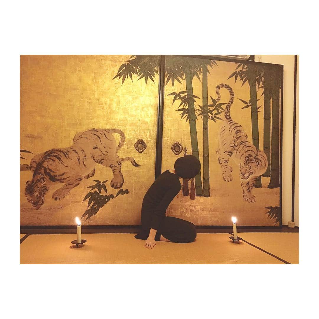 古谷有美さんのインスタグラム写真 - (古谷有美Instagram)「🐯 じーっ..... 一休さんにも出てくる虎の屏風。 修復のお話とても奥が深い。 @hirotorakusho 先生 ありがとうございます！  #京都 #アート巡り  #狩野探幽 #南禅寺 #一休さんの虎 #Kyoto #nanzenji #月1で何かを観るルール」10月2日 17時23分 - yuumifuruya