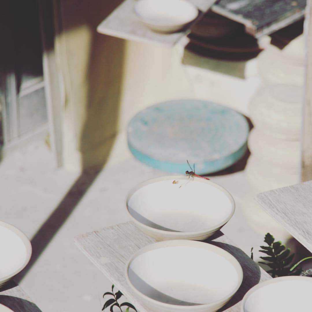 丹波焼の郷（公式）さんのインスタグラム写真 - (丹波焼の郷（公式）Instagram)「#丹波焼 #立杭焼 #陶器まつり#丹波焼陶器まつり #もうすぐ陶器まつり#秋の風景」10月4日 9時42分 - tanbayaki_official
