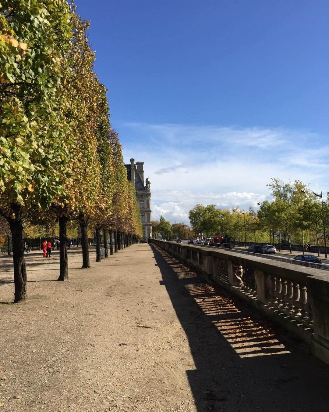 ヨアナバラシーのインスタグラム：「Jardin des Tuileries my obsession with the beauty of perspective」