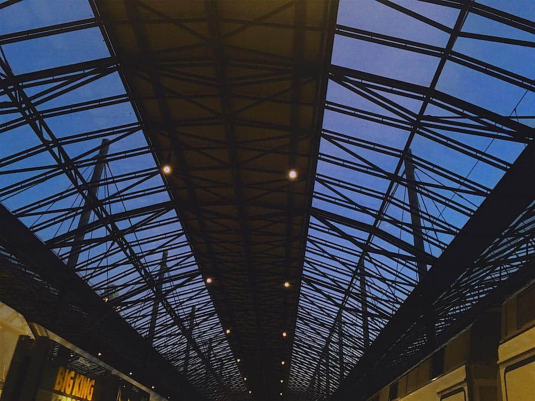 アレクサンドル・ペトロフさんのインスタグラム写真 - (アレクサンドル・ペトロフInstagram)「🇫🇮 HELSINKI 🇫🇮 Railway station's glass roof」10月5日 19時41分 - alex.petrow