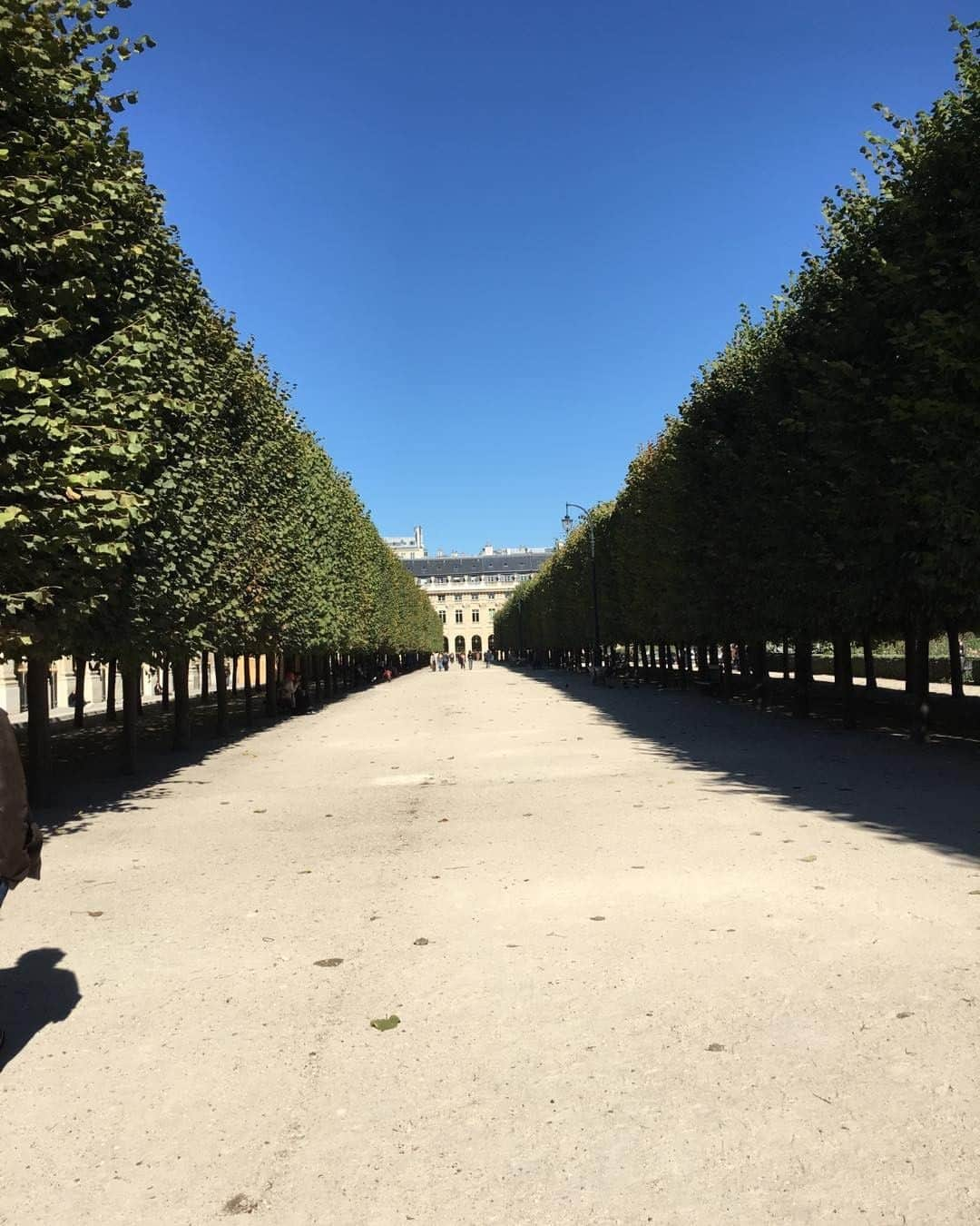 ヨアナバラシーのインスタグラム：「Meanwhile at the Jardin du Palais Royal today ....」