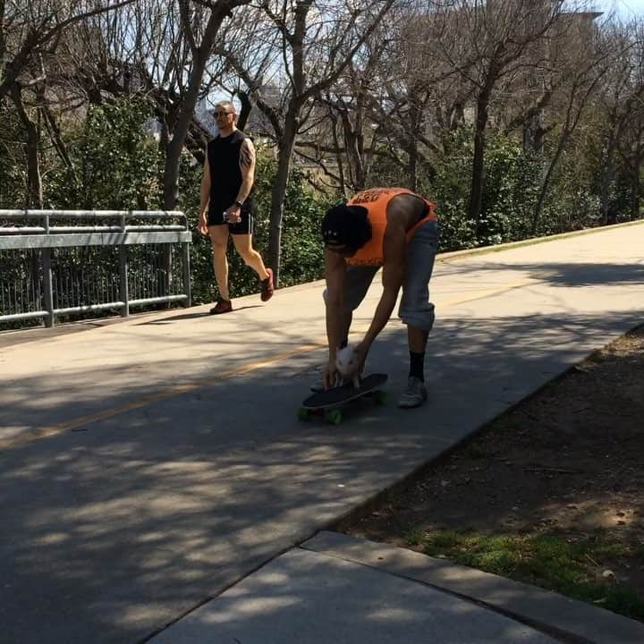 baconのインスタグラム：「And this was the last time Piggy Hawk touched a skateboard... 🐷🐖 #tbt #throwback #bacon #piglet #harambe #skateordie」