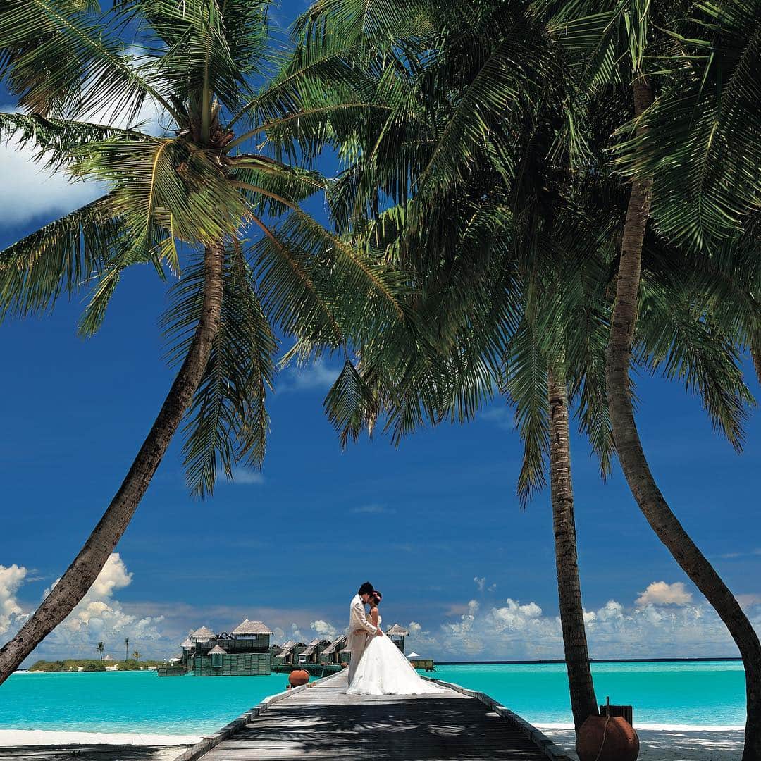 クチュールナオコウエディングさんのインスタグラム写真 - (クチュールナオコウエディングInstagram)「maldives＊ 一島一リゾート・モルディブで 時間を忘れて、2人だけの空間で、何もしない贅沢を。 #couturenaoco #couturenaocowedding #resortwedding #クチュールナオコ #クチュールナオコウェディング #リゾートウェディング #海外挙式 #モルディブ #ウェディングフォト #ビーチフォト #プレ花嫁」10月9日 17時09分 - couturenaoco_resortwedding