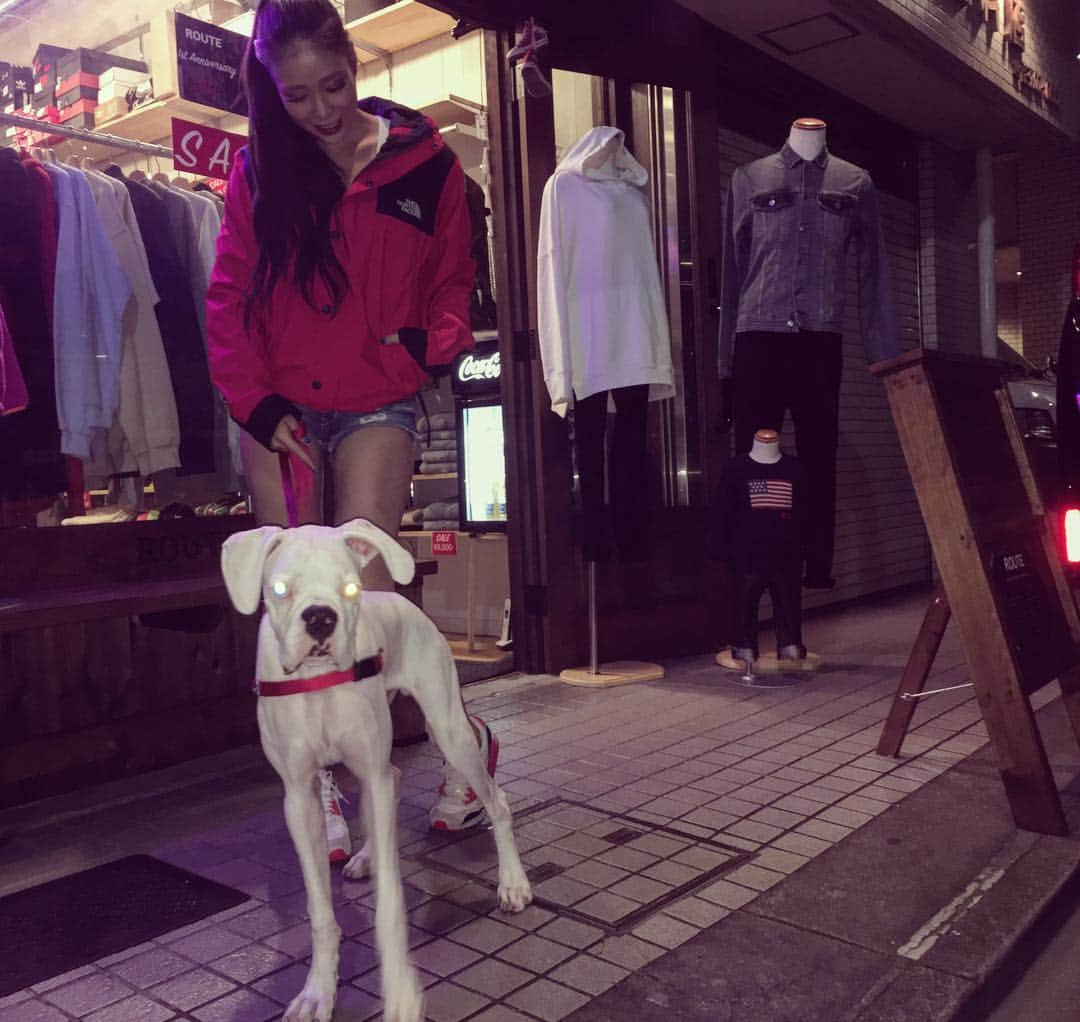 紅蘭さんのインスタグラム写真 - (紅蘭Instagram)「鎌倉デート🐶❤️ Babyのリードの色に合わせて 赤リップに 真っ赤なTHE NORTH FACEとJ.crewコラボのジャケット💄  ノースな季節になって来たね‼︎ 1着は持ってたいよねー‼︎ @route_tokyo  #紅蘭  #鎌倉 #銭洗弁天いけなかったw #愛犬 #ホワイトボクサー #ドレスコードは赤 #babyの脚の長さが羨ましい #rout_tokyo  #jcrew #thenorthface #boxer」10月11日 21時43分 - kurankusakari