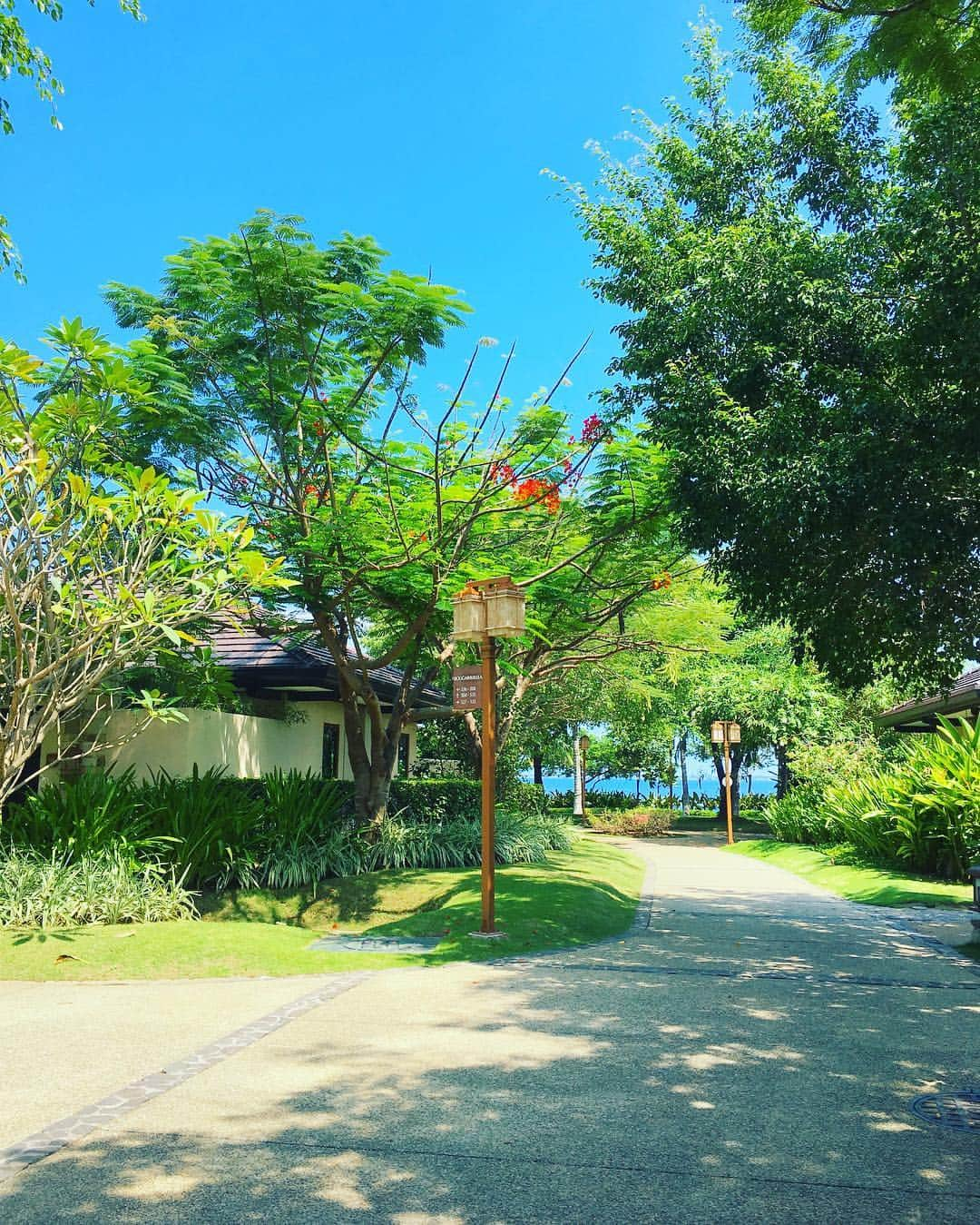 あびる優さんのインスタグラム写真 - (あびる優Instagram)「オフショット📸 Part⑪ 🏝⛵️🇵🇭✨🌳💐🏖 宿泊したのはクリムゾンホテル✨ インフィニティプールありプールヴィラありバーやレストランも充実してました😊  #cebu#sunnyday#fun#happy#job##smile#ocean#sky#green#garden#セブ島#南国#晴天#クリムゾンホテル#お庭#美しい#癒し#トゥルさま#トゥルルさまぁーず#dtv#大好評#番組#青空#海」10月12日 19時45分 - yuabiru74