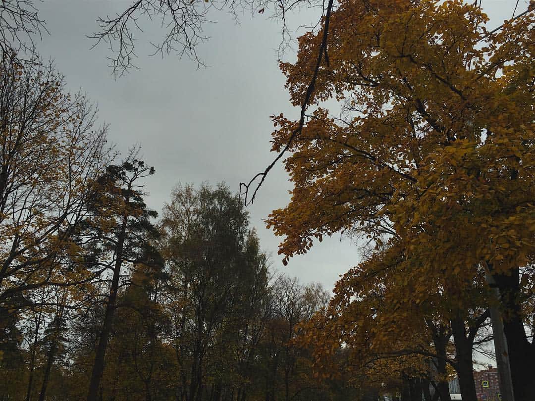 アレクサンドル・ペトロフさんのインスタグラム写真 - (アレクサンドル・ペトロフInstagram)「Солнце упало и рассыпалось.🌥Золотая осень🍂 #SaintP」10月12日 21時09分 - alex.petrow