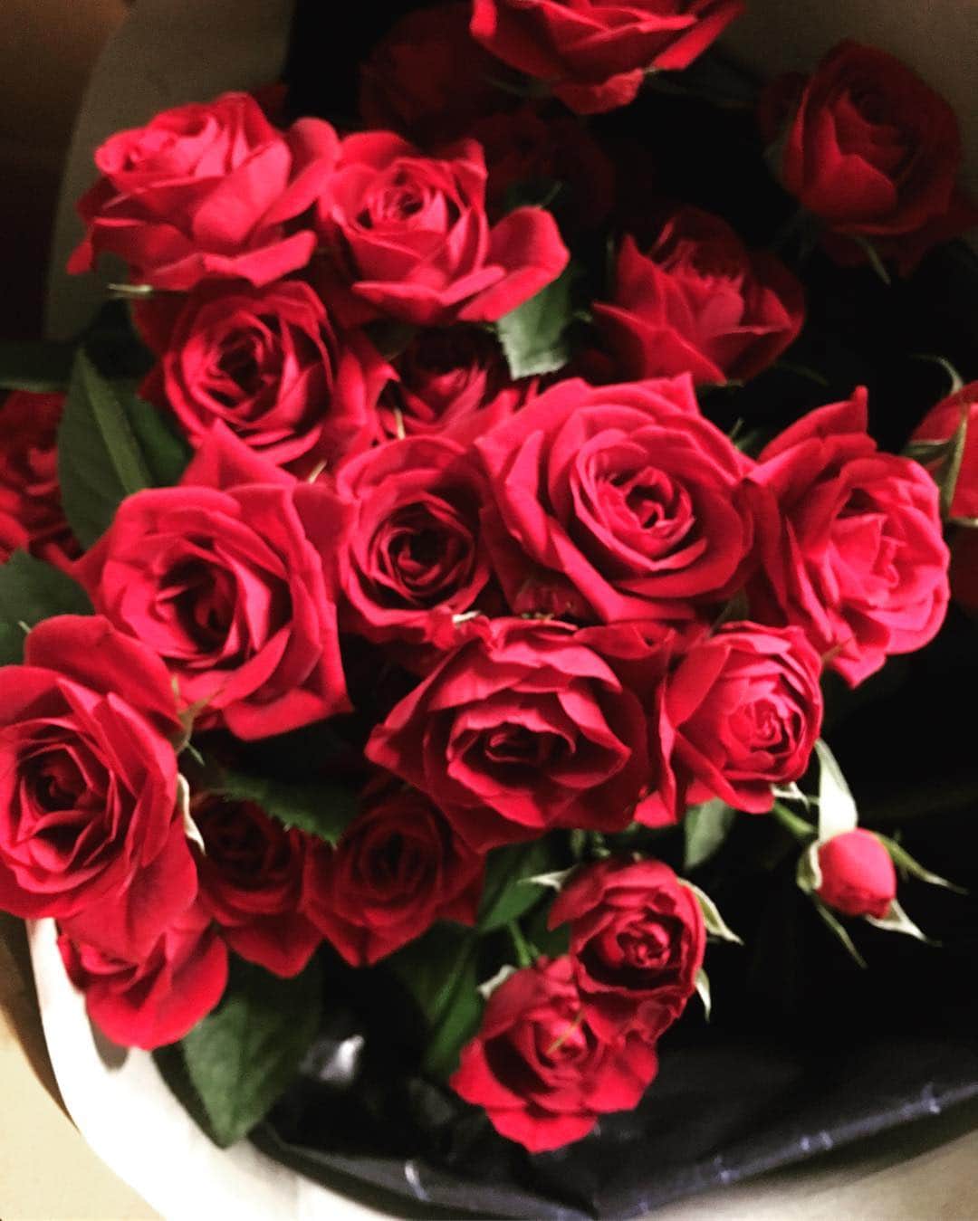 夏菜さんのインスタグラム写真 - (夏菜Instagram)「お花はいつもらっても、気分がホワッとなってあったかい気持ちになるね ☺️ ミニバラかわいいな🌹💛 朝から眺める...ほわわん。 日持ちさせるの難しいよね。😶😶 #ミニバラ#ほわわん」10月15日 9時58分 - natsuna_official