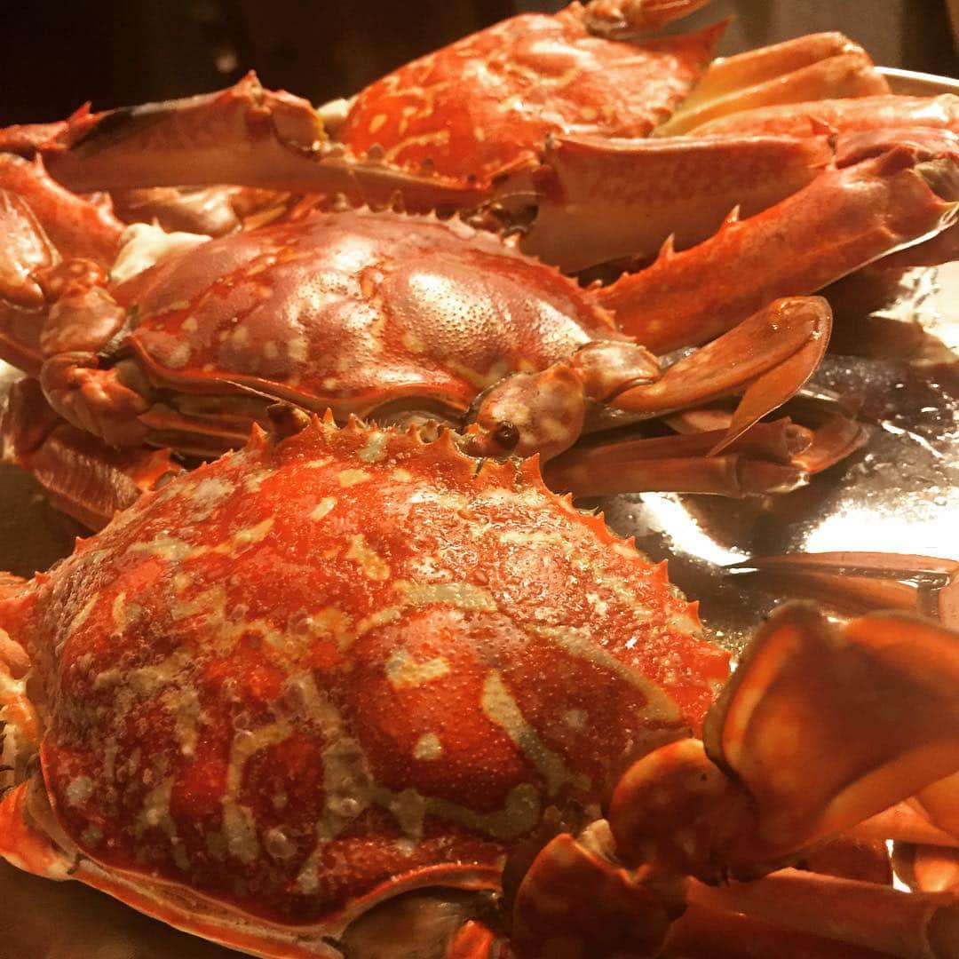 柳下毅一郎さんのインスタグラム写真 - (柳下毅一郎Instagram)「カニー！＠アーバン・ウェスト #crab #nightlife #kobe」10月15日 21時49分 - garth_y