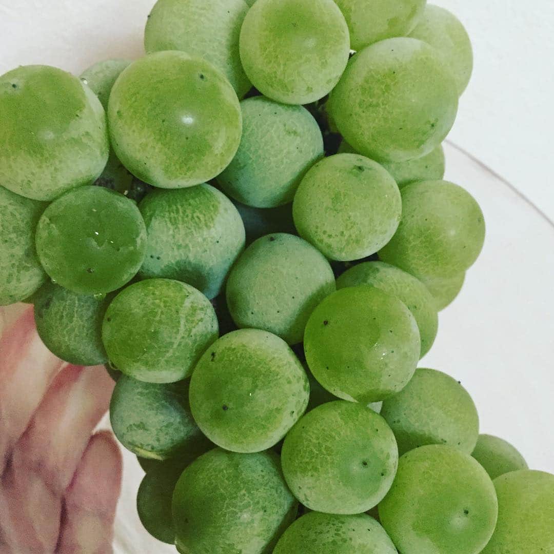 真島かおるのインスタグラム：「お家の大家さんから頂いたマスカット♡袋から出した途端匂いが広まった…♡すっごい甘い！！！」