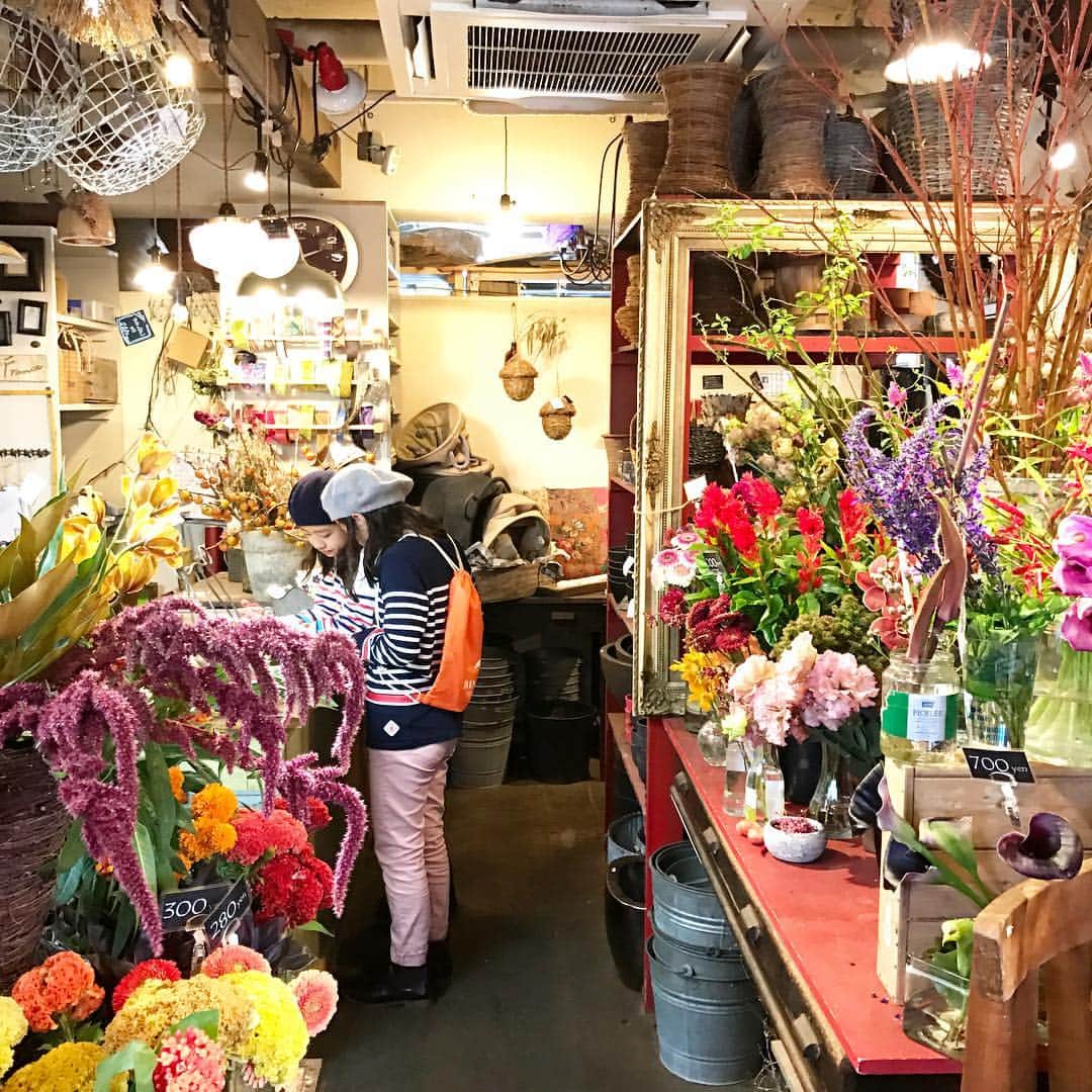 土井地恵理子さんのインスタグラム写真 土井地恵理子instagram お友達にあげるお花を選びに あーお花って可愛い Flower ラフランス Lafrance たまプラーザ 店長さんのお花のセレクトが大好き 間違いないお花屋さん Twins 双子 Kids Kidsfashion