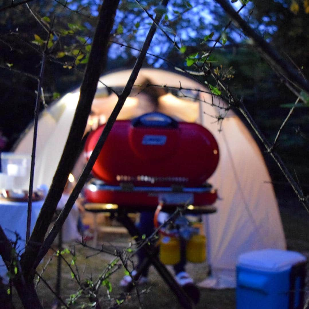 sar711764のインスタグラム：「CAMP🔦 先日、友達親子3組でオートキャンプしてきました〜⛺️ 友人のオシャレテント×2 女子供だけって素晴らしく効率がいい😂 #キャンプ #オートキャンプ #ドッペルギャンガー #コールマン #アウトドア #女子キャンプ #オシャレキャンパーな友人👯 #私はただの乗っかり」