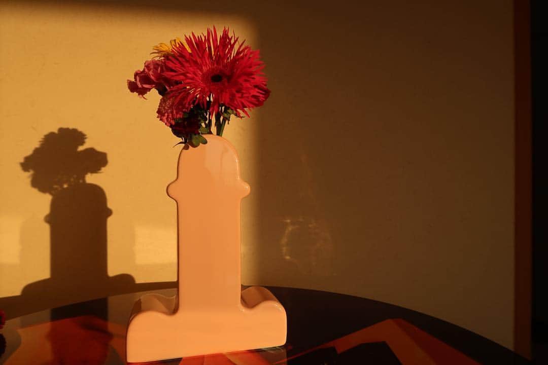 渡辺直美さんのインスタグラム写真 - (渡辺直美Instagram)「新しい花瓶を買いました。 気付いたら手に取ってた。 不満なんだろうか、欲求が。  My new vase  #イタリアで買ったよ #やっと使ったよ #結構可愛い #夕日に照らしてみた」11月19日 16時34分 - watanabenaomi703