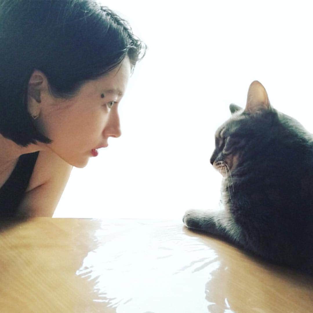 松本恵奈さんのインスタグラム写真 - (松本恵奈Instagram)「じぃーーーーーーー👁 っと見つめ合い中。。。 #enafilmcollection」11月16日 11時45分 - ena1123