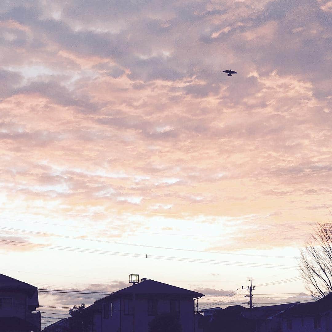 CANVASのインスタグラム：「. Good morning🕊 いい木曜日を！ . #Lifeisajourney #人生はいつだって旅の途中 #canvasmagazine  #canvas_magazine」