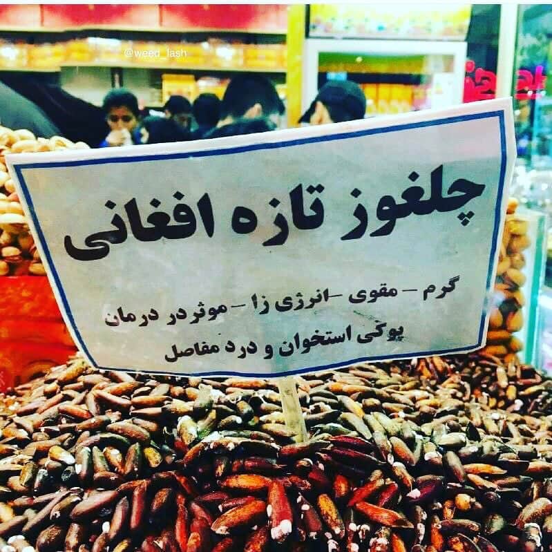 AZのインスタグラム：「تا الان فك ميكردم اين فحشه😂😂😂😁」