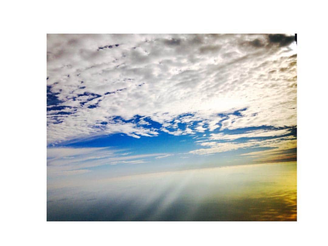 吉岡里帆さんのインスタグラム写真 - (吉岡里帆Instagram)「秋も終わっちゃったな…  10月最後31日は ”ネプリーグ”OA 19:00〜奇跡の回となってます。」10月30日 0時02分 - riho_yoshioka