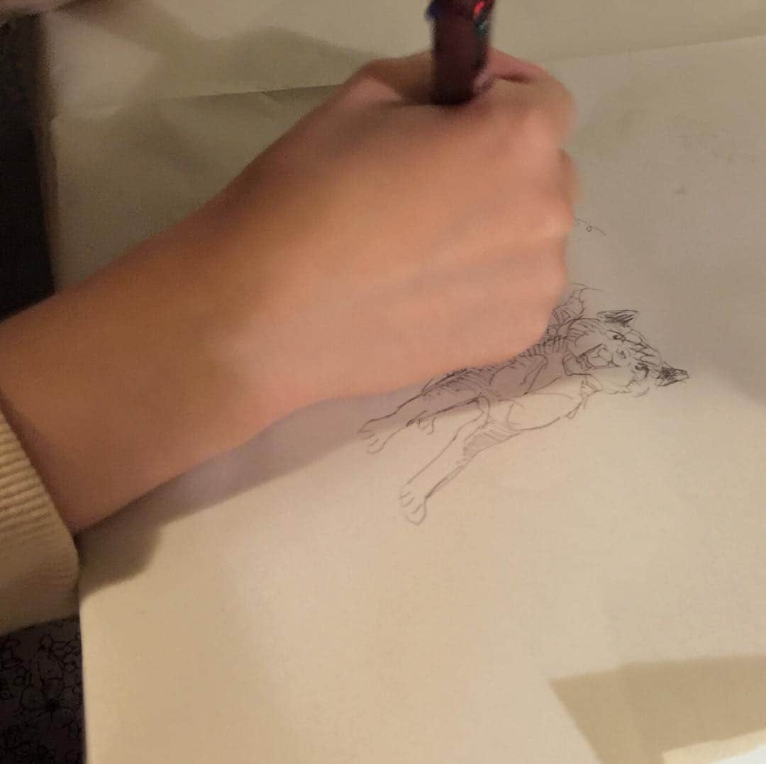 西野七瀬のインスタグラム：「あれ……この犬は……！？ #西野七瀬 #風を着替えて」
