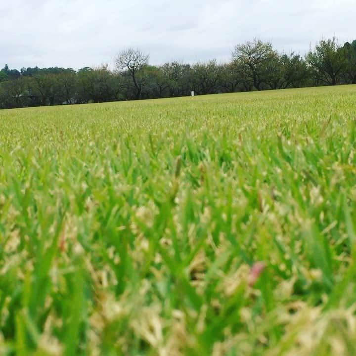 眞庭城聖のインスタグラム：「Active rest with 夏  #activerest #jogging #sprint #training  #千波湖 #水戸 #茨城ロボッツ」