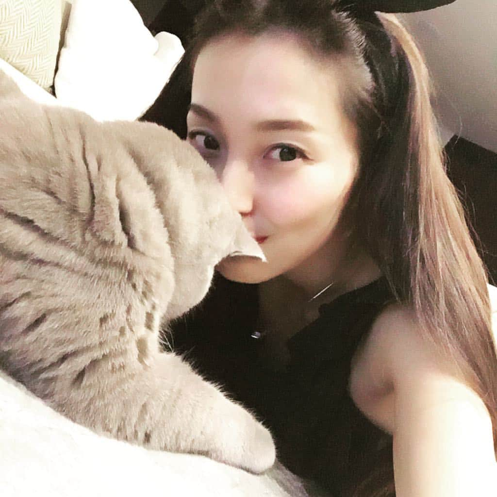 阪井あゆみさんのインスタグラム写真 - (阪井あゆみInstagram)「最近洗ってないから良い感じ獣。🐈🐾 #人も人間味のある人が好き #情熱ホルモン  #愛情ホルモン #洗い流さないでおこう #ハッピーハロウィン」11月1日 0時10分 - ayumisakai0121