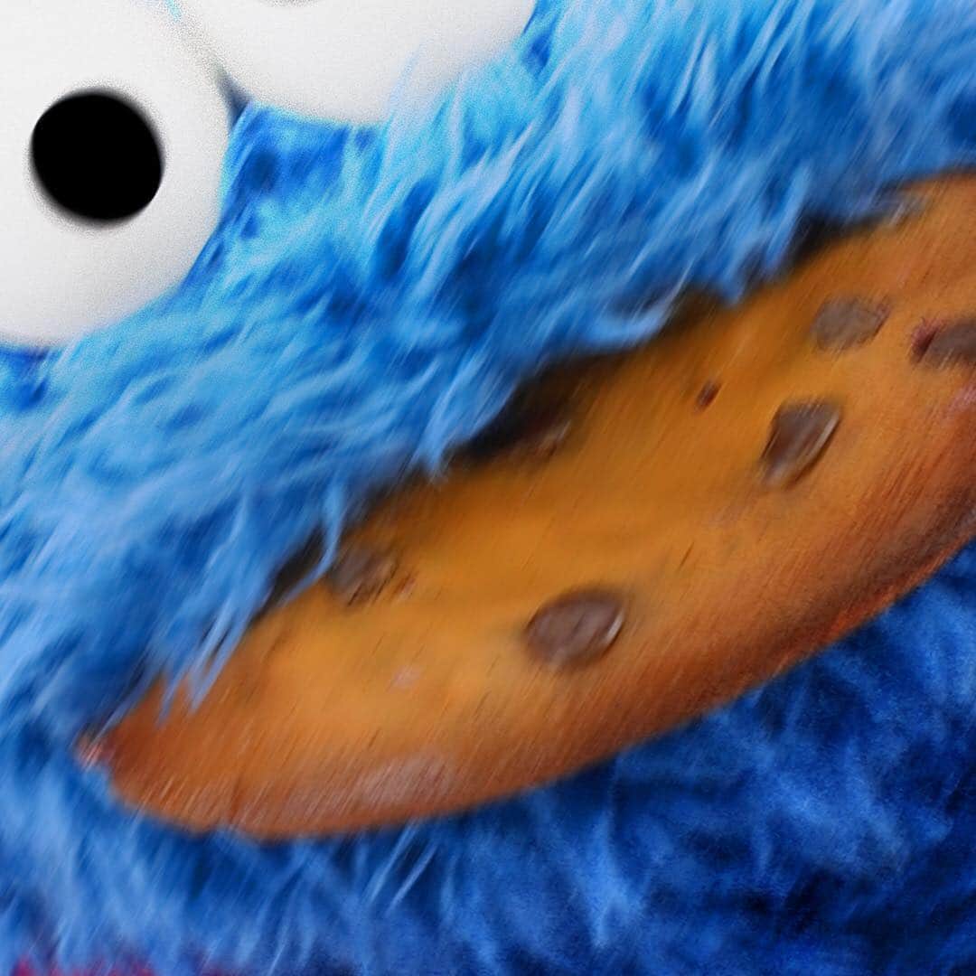 セサミストリートさんのインスタグラム写真 - (セサミストリートInstagram)「Me Cookie Monster here! Me looking for cookies and all me found is dis instagram thing!  #CookieTakeover」11月2日 3時46分 - sesamestreet