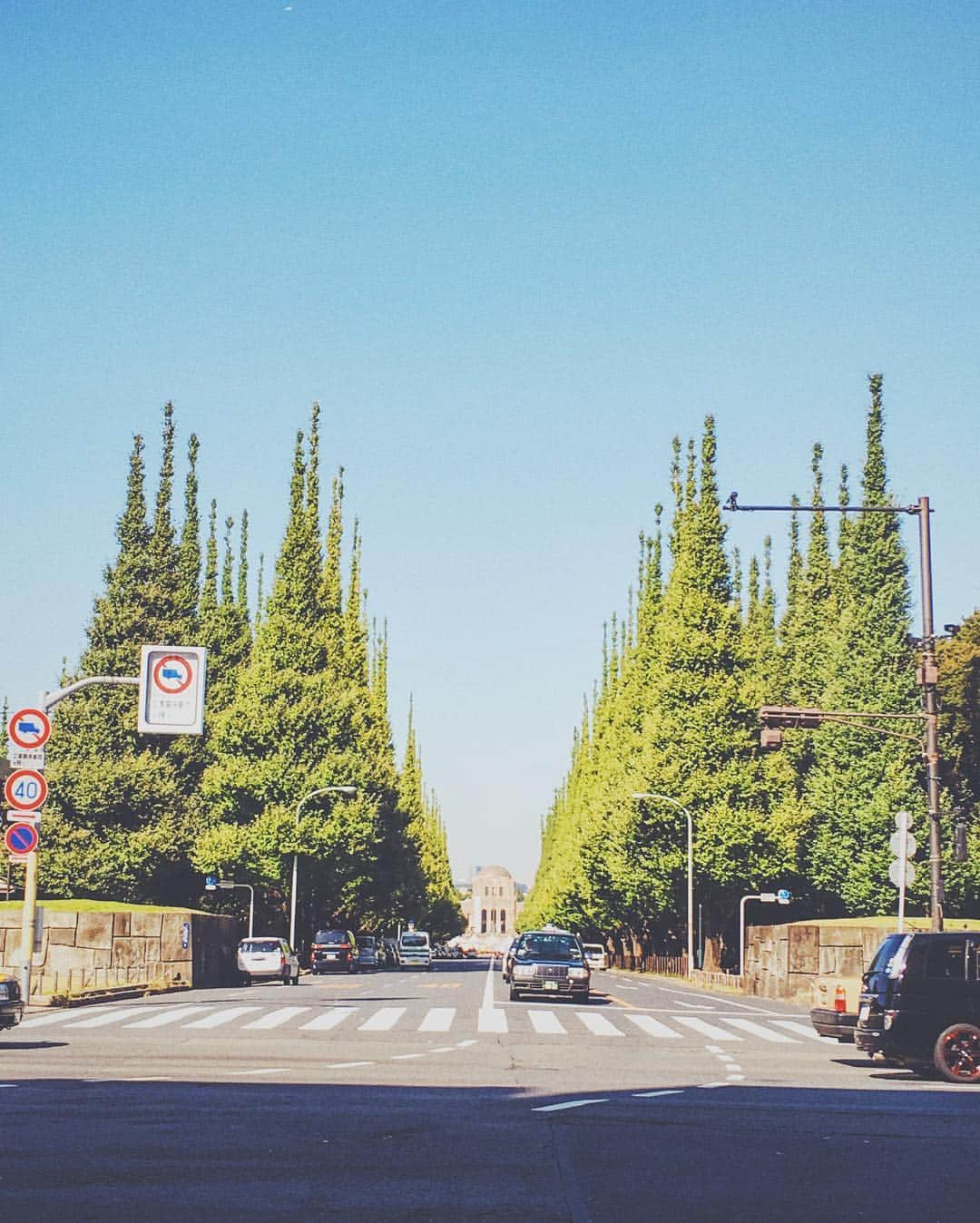 梅本祐紀さんのインスタグラム写真 - (梅本祐紀Instagram)「おはようございます。イチョウ並木の紅葉はもう少し先ですね... ・ ・ #goodmorning #GM #e朝 #外苑前 #銀杏並木 #紅葉」11月2日 9時44分 - yuki_umemoto