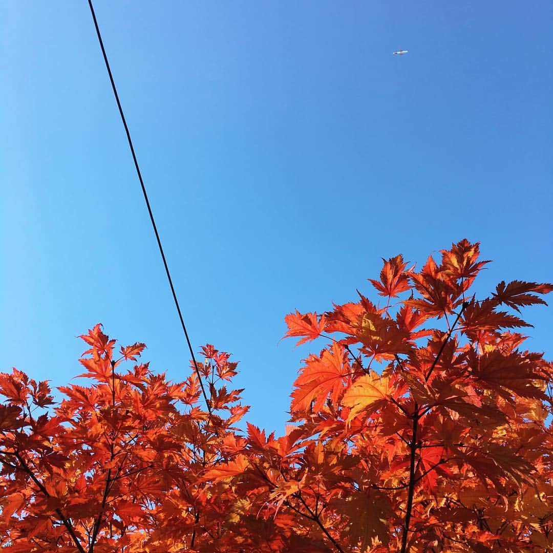エディ・ケイヒルのインスタグラム：「#Leaving」