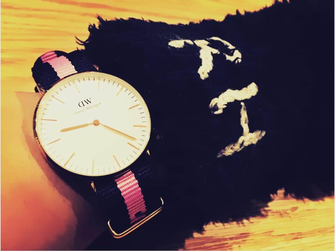 のインスタグラム：「時計のベルト変えた⌚️✨ #danielwellington #ronherman」