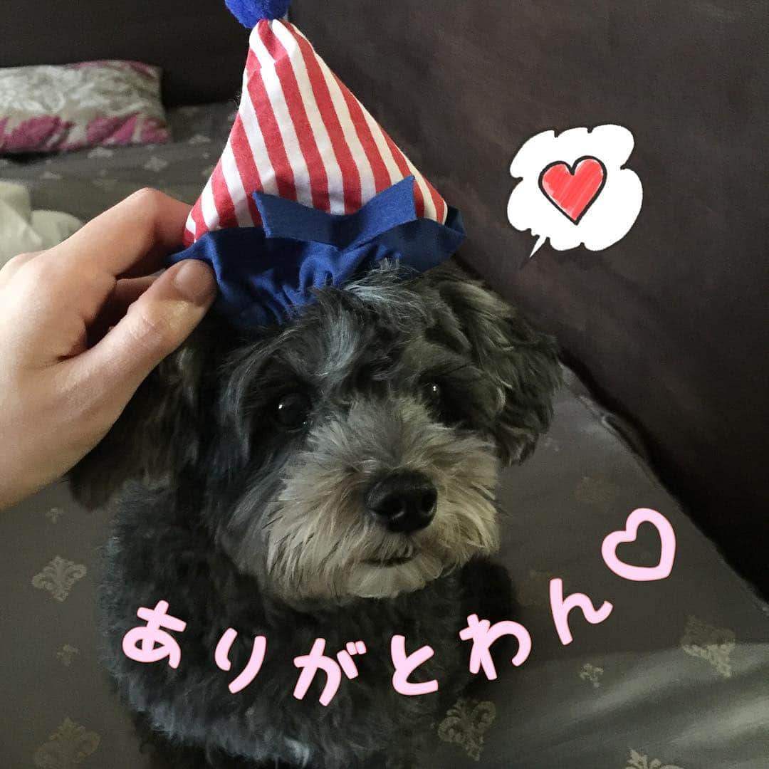 橘珠里のインスタグラム