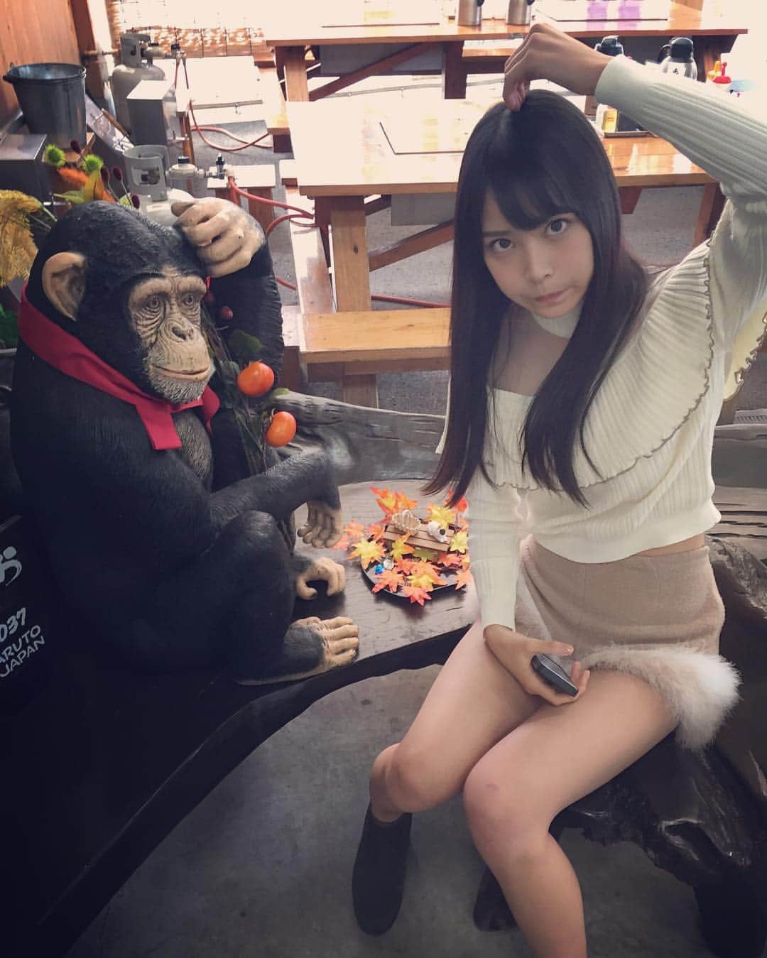 白間美瑠さんのインスタグラム写真 - (白間美瑠Instagram)「お店の中に、チンパンジーくん🐒 うきっ！うきっ！！」11月5日 11時03分 - shiro36run