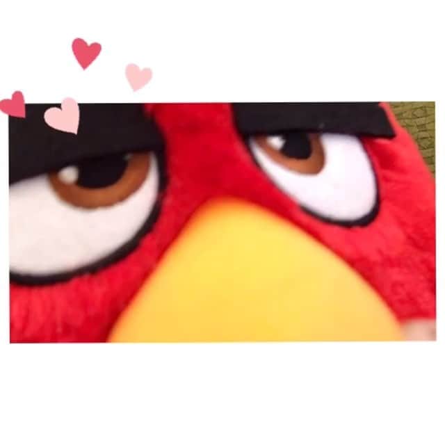 長澤茉里奈のインスタグラム