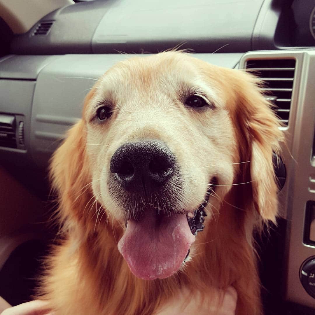 のインスタグラム：「Went for vaccination today, didn't like the cold steel table they put me on. Glad it's over now.」