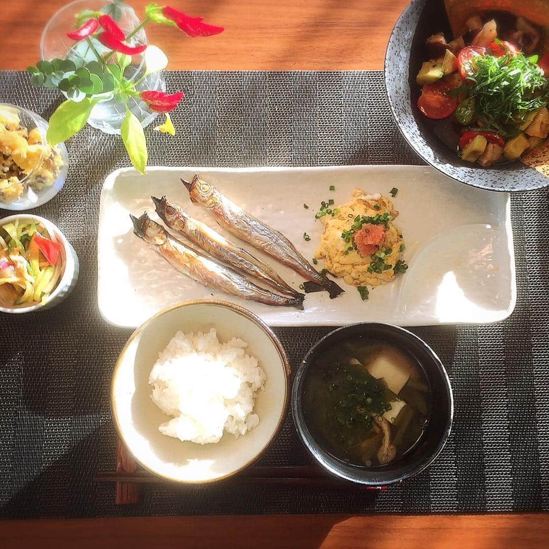 坂田陽子さんのインスタグラム写真 - (坂田陽子Instagram)「朝食に大好きなししゃも。 ＊ ＊ #居酒屋メニュー #朝から無性に飲みたくなる #ししゃも #朝ご飯 #instafood  #アボカドとタコのマリネ #さつまいものサラダ #きゅうりと春雨の中華サラダ  #明太玉子焼き #おっぱいみたいに見えるけど #稚加栄の明太子  #つぶだし  #チューブタイプだけど本格派 #使えます」11月7日 8時44分 - yokosakata