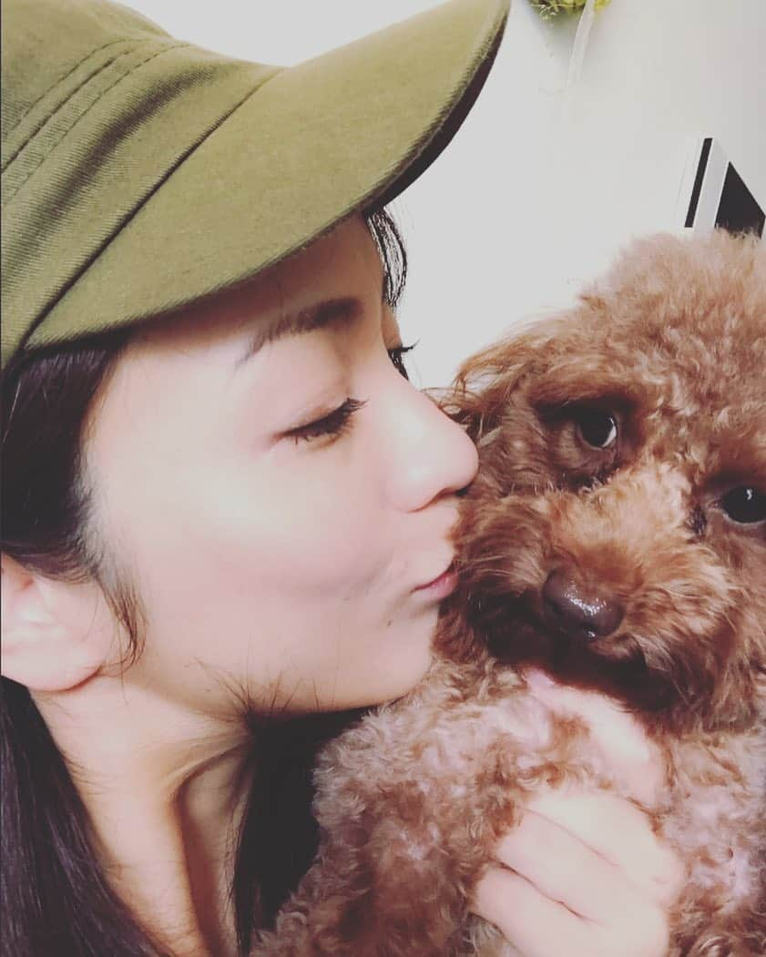 新井利佳さんのインスタグラム写真 - (新井利佳Instagram)「#toypoodle #toypoodlelove #toypoodlesofinstagram #me #and #coco #kiss #love #family #dog #doglife #day #life #happy #rika #新井利佳 #貴賓狗 #貴賓 #紅貴賓 #狂犬病檢查 #結束 #可以 #去玩 #日本 #太好了 #家人 #親 #愛 #日本に一緒に行けるね #良かった」11月7日 13時09分 - rika.arai