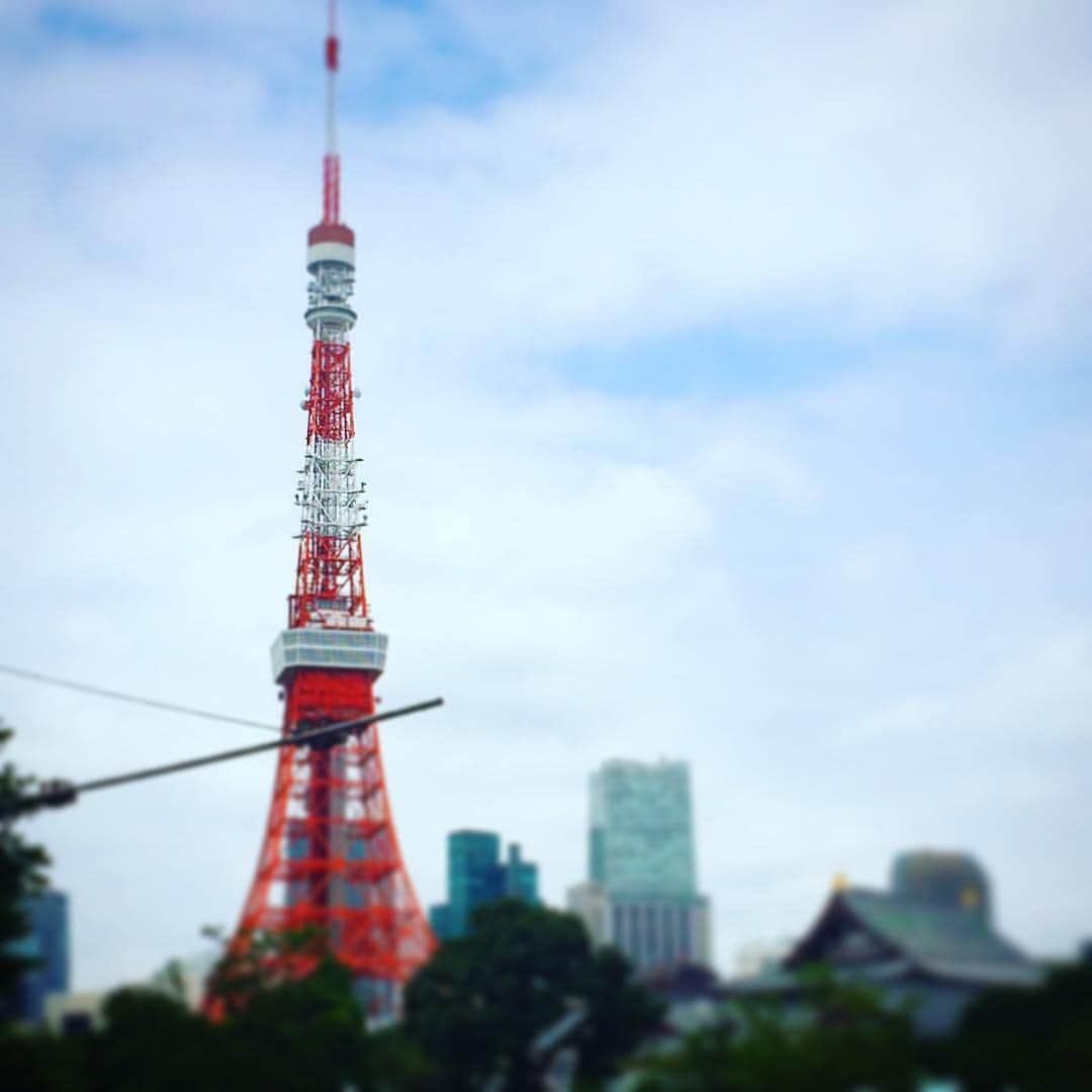 Koya Takeiのインスタグラム：「東京のシンボルである東京タワーを色々な方向から眺める。増上寺の近くから眺めることで、古き良き日本の風景を横目に東京タワーを望むことができる。この角度から東京タワーを拝めるカフェテラスがあれば最高なのだが、、、 #素敵な休日の過ごし方  Cool :) #東京タワー #tokyotower #日本の風景 #赤い #cooljapan #芝公園 #building #japan #tokyo #東京 #休日の過ごし方 #instagood」