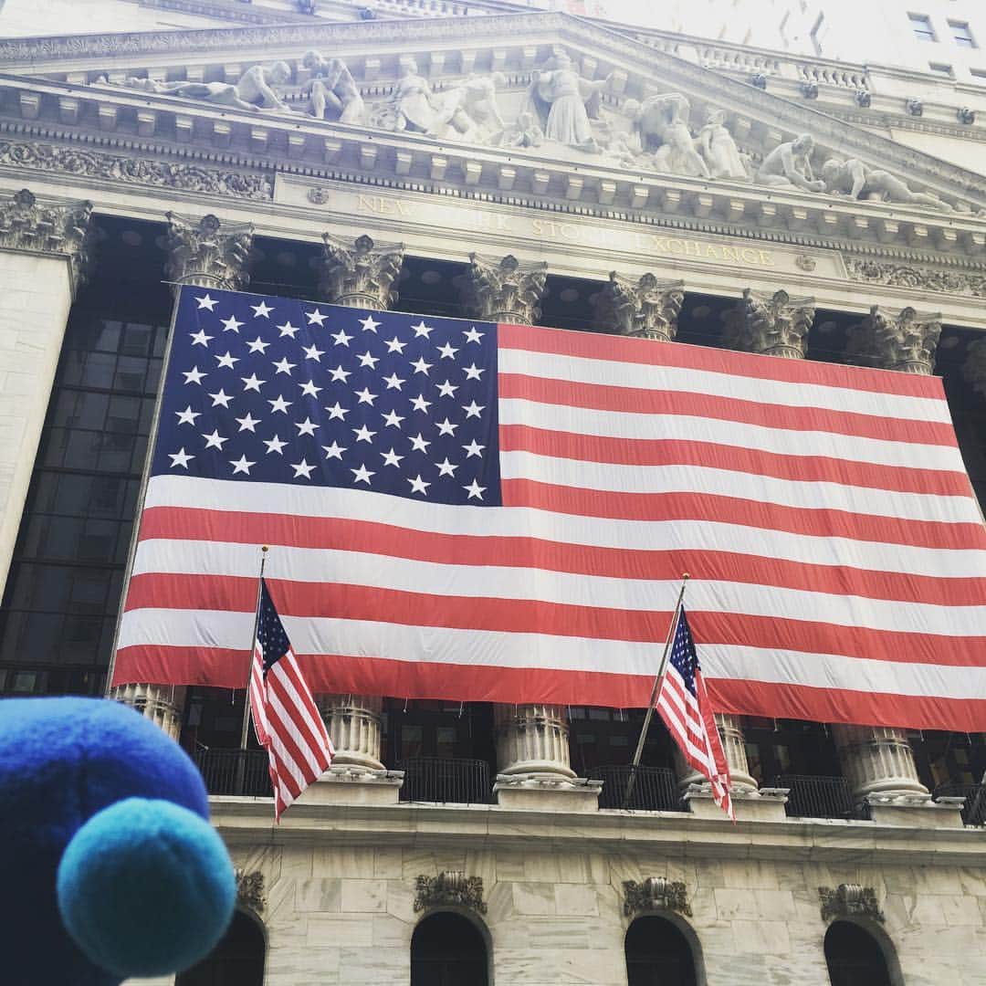 ROU [ルー]のインスタグラム：「米国大統領選挙のゆくえが気になっています…  #第58回目だそう #第45代アメリカ合衆国大統領を決める選挙 #1期4年、最長2期が任期」
