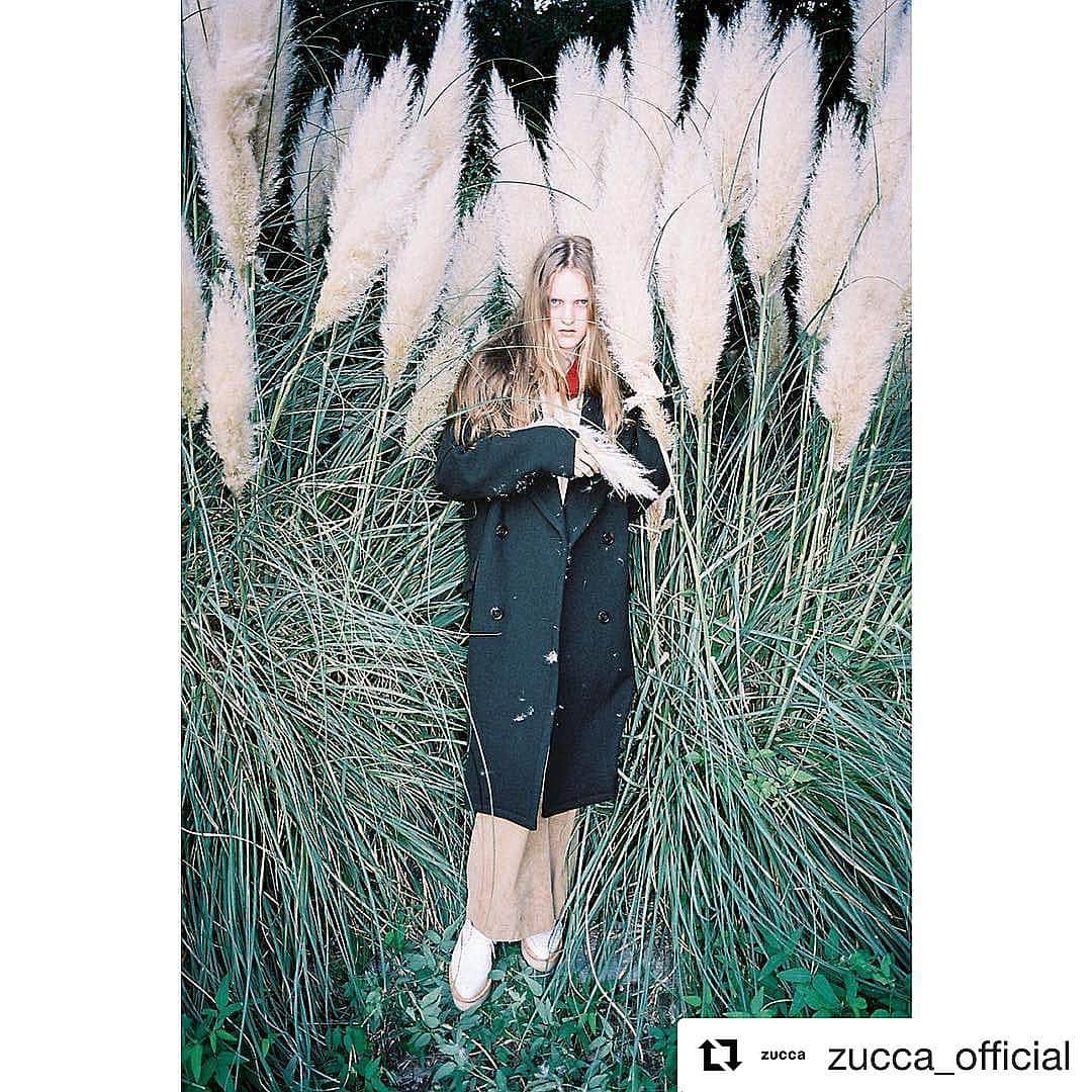 吉祥寺PARCOのインスタグラム：「【2階 カバンドズッカ】  #Repost @zucca_official with @repostapp ・・・ ... Duffle wool coat / ZU63FA011 Lamb wool sweater pullover / ZU63KN143 Wool gauze jersey pullover / ZU63JJ103 Heavy corduroy pants / ZU63FF310 George cox shoes / ZU63AJ350  #zucca #cabanedezucca #autumn #winter #fashion #japan #ootd #coat #knit #georgecox #ズッカ #カバンドズッカ」