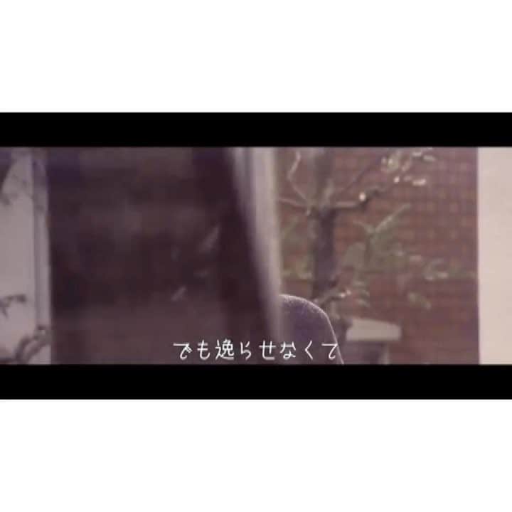 阿部大輔のインスタグラム：「マイメンLEOの4TH Album「THE ONE」がリリースされました🎉 LEOおめでとう🎉㊗️ 誰でも経験した事のある片想いの切ない気持ちを歌った一曲。 リリック付きのMVなのですごく入ってきて、色んな気持ちとリンクするー(^^;) MV主演にはお笑い芸人のちゅうえいさんがバラエティーでは見せない迫真の演技を披露してます。 こちらも話題になりそうですね！ 友達だからとか抜きにして、本当にお勧めしたい一曲です！！ 是非チェックして下さいね^ ^ ・ ・ LEO「THE ONE」iTunes ページ https://itun.es/jp/z09Ufb ・ LEO「君」MV https://youtu.be/8ymKalQsbdk」