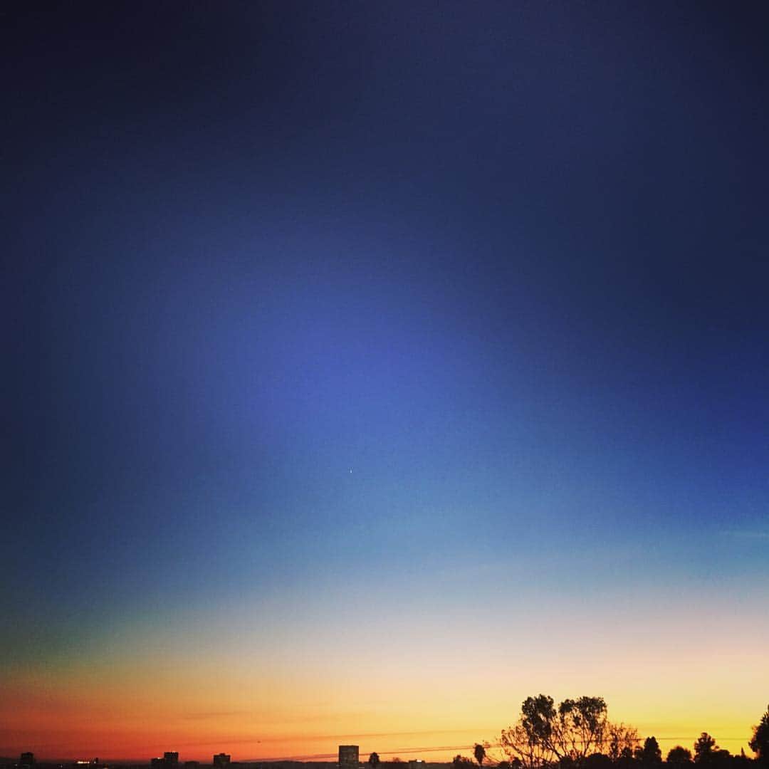 エディ・ケイヒルのインスタグラム：「#Evening」