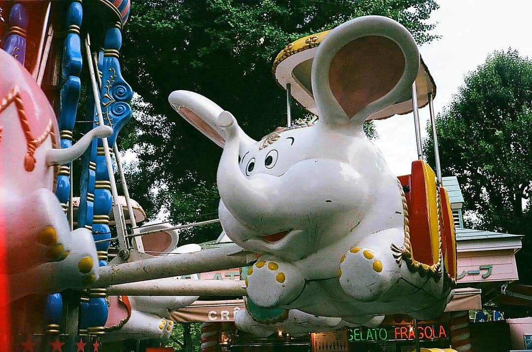 あいみょんさんのインスタグラム写真 - (あいみょんInstagram)「上野動物園の遊園地が閉園して悲しい」11月12日 0時15分 - aimyon36