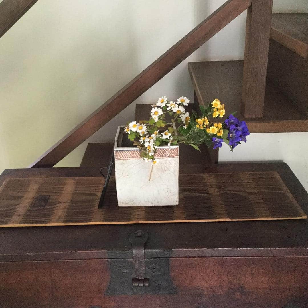 ヒロミチナカノさんのインスタグラム写真 - (ヒロミチナカノInstagram)「口元に格子の模様の水差しに白の竜脳菊、黄色の家菊、青の竜胆を入れました。李朝の箪笥、バンダヂに法隆寺の古材の敷板を合わせました。#wildflower #interior  #wildflowers #flower #flowerinstagram  #antiques #nageire」11月12日 10時28分 - hiromichinakano_official