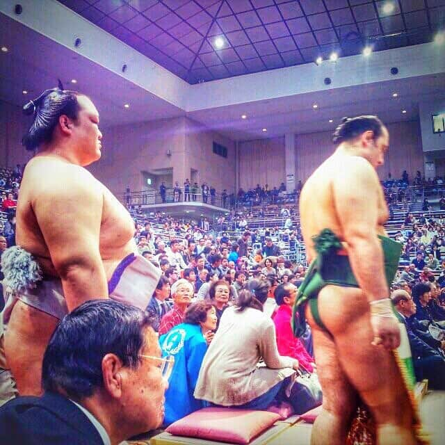 井上志帆子さんのインスタグラム写真 - (井上志帆子Instagram)「4年まえの九州場所🐻 稀勢の里関と琴欧洲関。 初めて覚えた力士が琴欧洲(かろやんすてふぁのふまはりゃのふ) こないだ、ばったり佐渡ヶ嶽部屋御一行と遭遇して はじめて握手してもらった😂💓 あの優しい目が素敵でした！ #琴奨菊関も優しかった #かろやんすてふぁのふまはりゃのふ #琴欧洲 関 #4年まえの写真」11月12日 23時48分 - shiriko0316