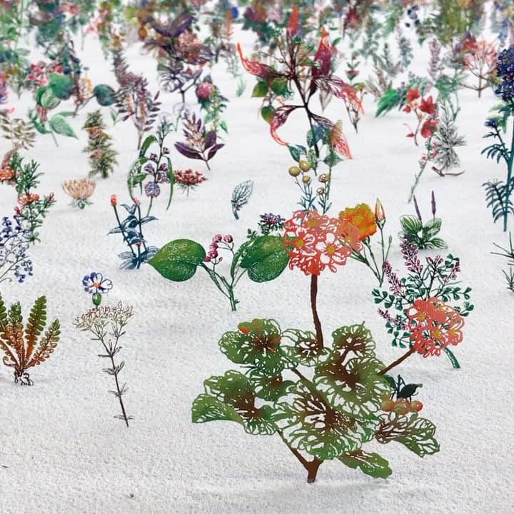 のインスタグラム：「凄すぎて動画でも連投ごめんなさいでもすごい#茨城県北芸術祭」