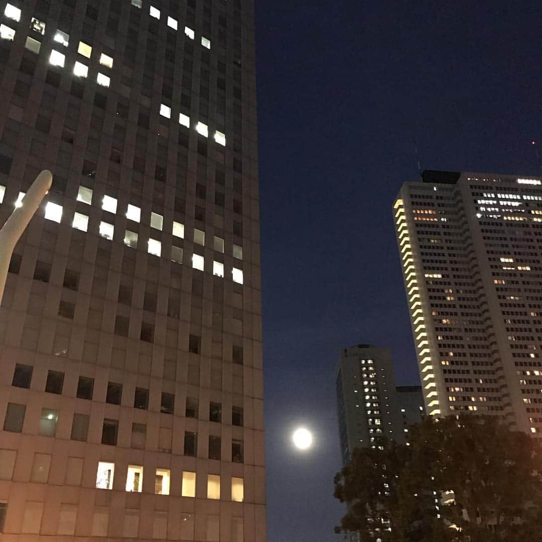 市川実和子のインスタグラム：「けいたさんと おんなじ場所で撮ったのに、 わたしのほうが写真が上手。 お月さま、 明日はもっと大きくなるのかな。」