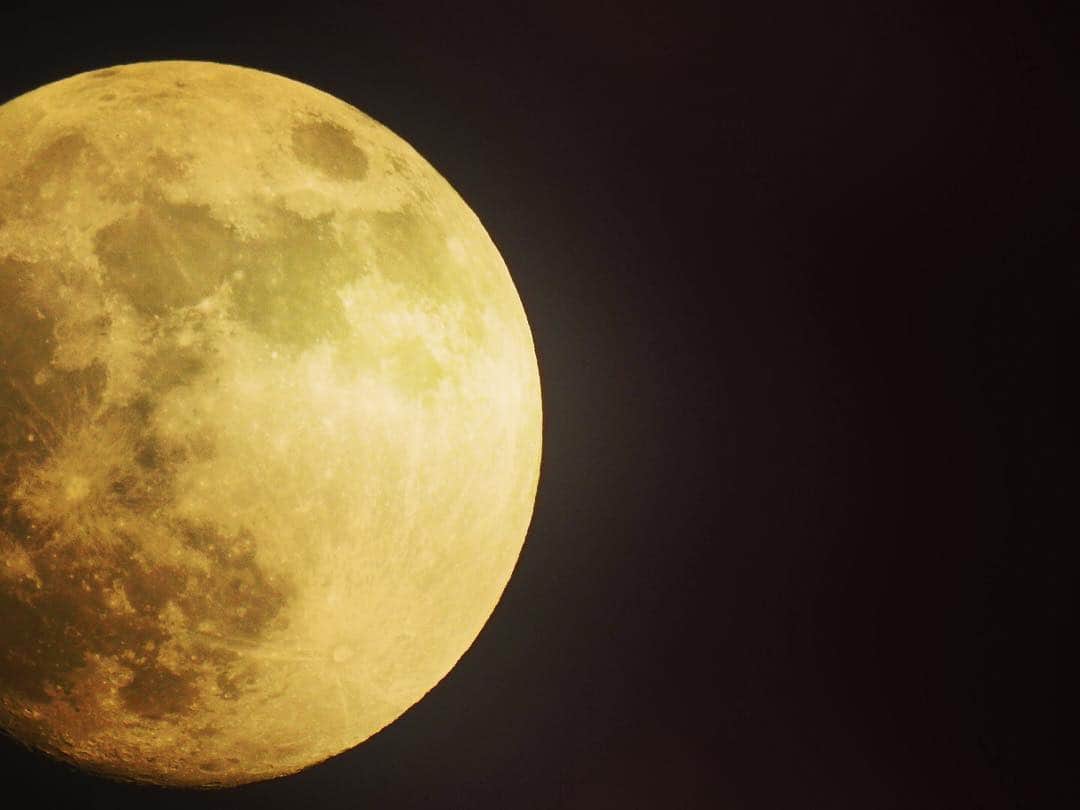 山本崇史のインスタグラム：「2016年11月13日の月(о´∀`о)本番は明日14日のスーパームーンなり。 #Nikon#moon#coolpixp900#p900#月#満月#nikonphotography」