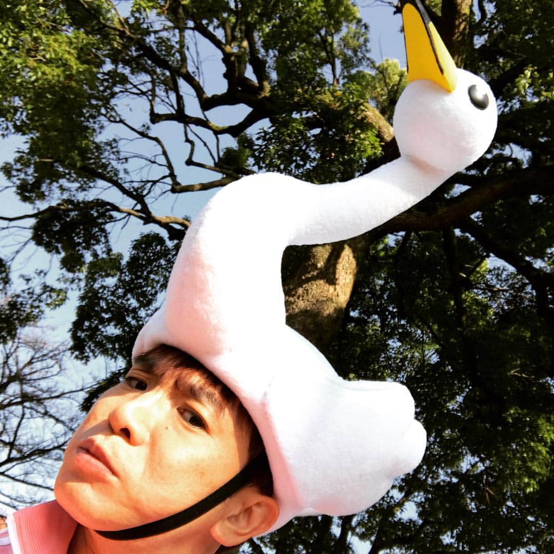 濱口優さんのインスタグラム写真 - (濱口優Instagram)「#白鳥 #かぶり物 #自撮り #大変 #Eテレ #NHK #なりきり #むーにゃん」11月14日 15時18分 - hamaguchi_masaru