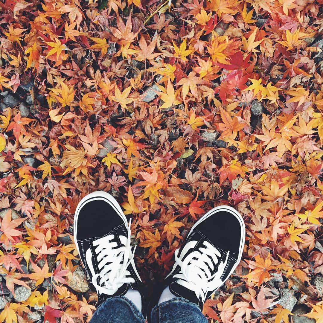 吉木千沙都（ちぃぽぽ）さんのインスタグラム写真 - (吉木千沙都（ちぃぽぽ）Instagram)「11月はちょっぴり休憩の月。 ってことで先週は長野県へ🚗 紅葉綺麗だったなー、 温泉気持ちよかったなー、 お蕎麦美味しかったな☺️💭」11月14日 18時54分 - popochan318