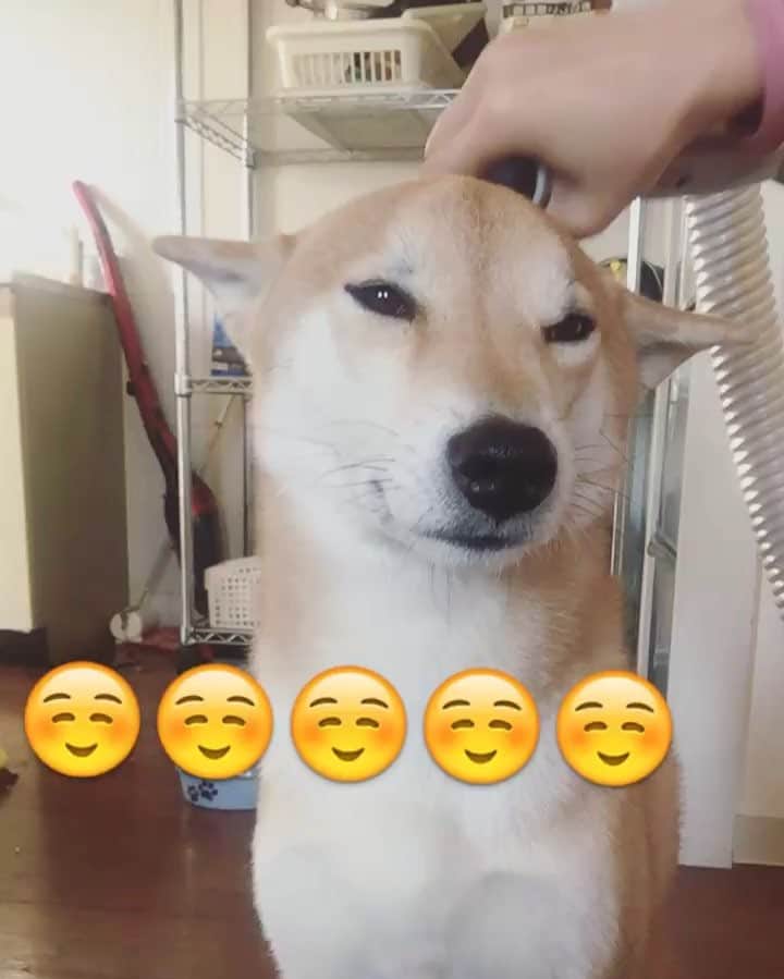 宮河マヤのインスタグラム