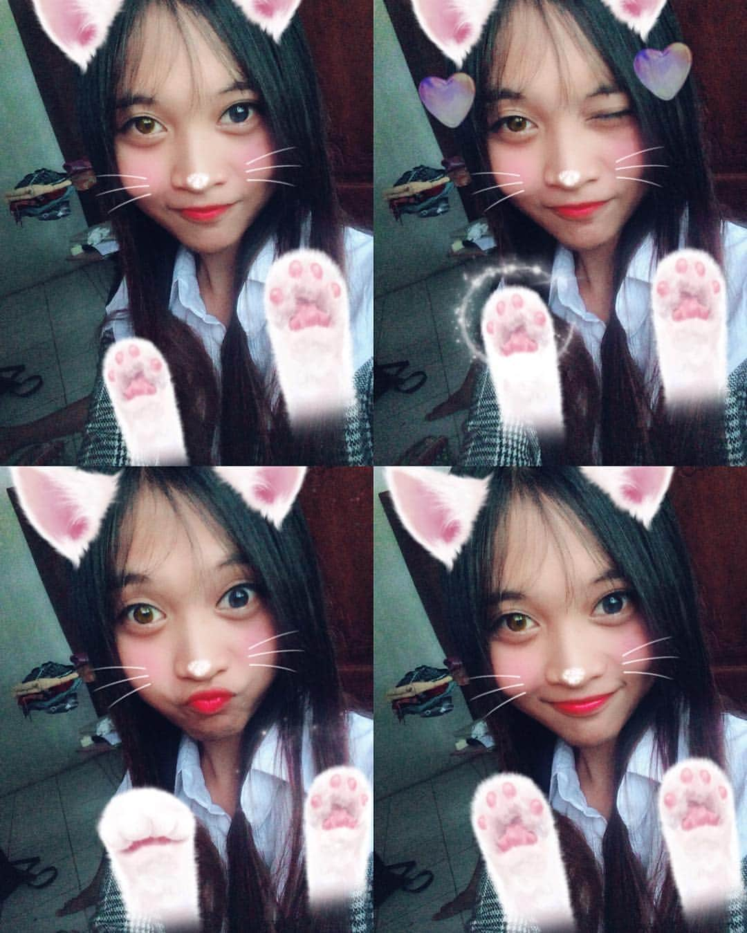 ティケイ さんのインスタグラム写真 - (ティケイ Instagram)「miww miawwww 😺😺😺」12月10日 20時09分 - tkkkkkx